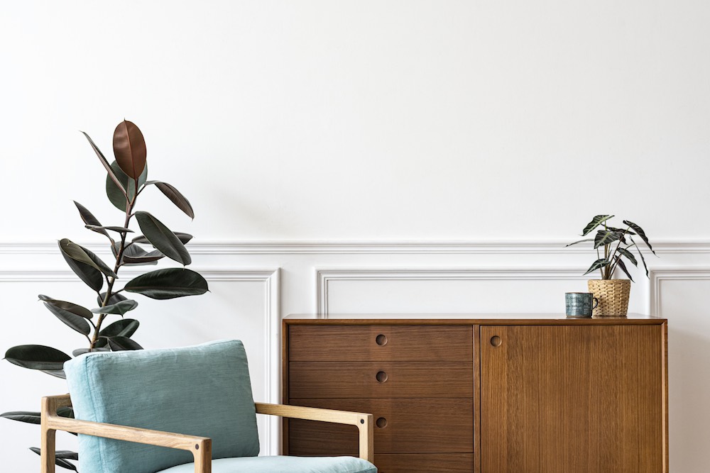 decoracion de interiores con plantas